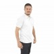 Camiseta tipo polo